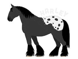 Churchill Downs Horse Sticker by Kentucky Derby