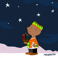 Charlie Brown Holiday GIF by Animation Domination High-Def