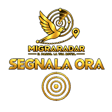 Migraradar Sticker