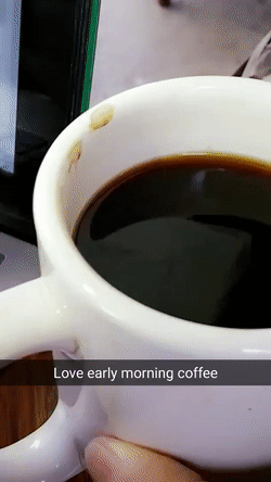  coffee day cup nothing GIF
