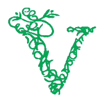 verandaallday Sticker
