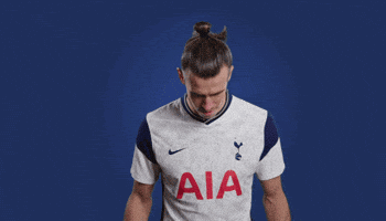 Premier League Football GIF by Tottenham Hotspur