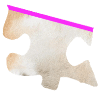 Puzzle Shiba Sticker