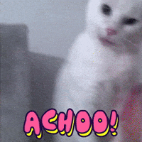 Niesen GIFs - Get the best GIF on GIPHY Niesen GIFs - Get the best GIF on GIPHY