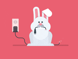 bunny chewing GIF by Petter Pentilä
