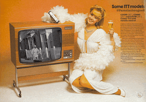 Tele Pamela Chougne GIF