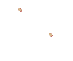 Slu Stlawrenceu Sticker by St. Lawrence University