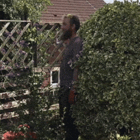 Homer Simpson Hedge Gifs Get The Best Gif On Giphy Homer Simpson Hedge Gifs Get The Best Gif On Giphy
