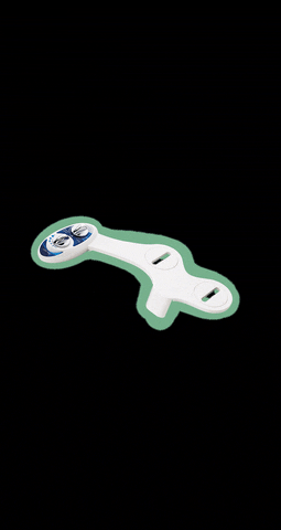 LuxeBidet GIF