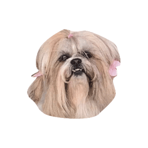 Beapple Sticker by Be Apple Boutique