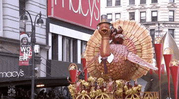 200.gif?cid=fc005b08fa8d5ff203e5d81f219dc90d58fb0d2228c15ef0&rid=200.gif&ct=g