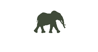 Wild Tomorrow Fund Sticker