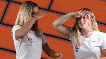 Lookout GIF by Carson-Newman Athletics