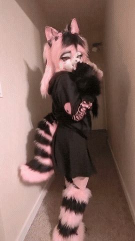 Happy Dance GIF