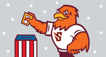 Voting Presidential Election GIF by Susquehanna University