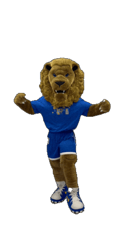 New York Hofstrau Sticker by Hofstra University