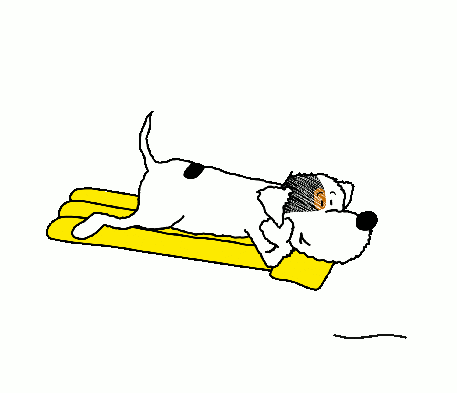 Dog Swimming GIF Find & Share on GIPHY