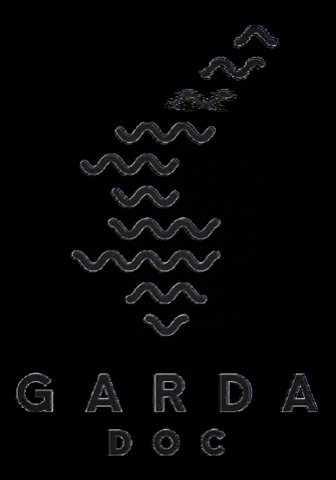 GARDADOC garda doc GIF