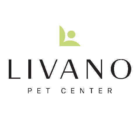 Livanomarketing Sticker