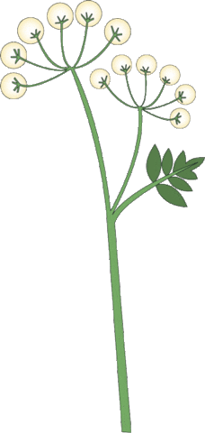 Iow2019 Isle Of Wight 2019 Sticker by Isle Of Wight Festival