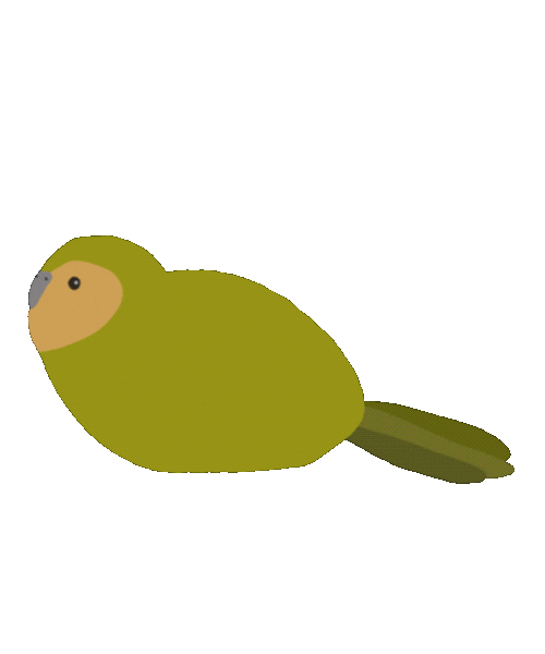 Bird Sticker