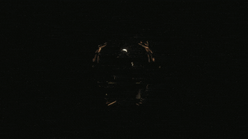 Cholodemora GIF