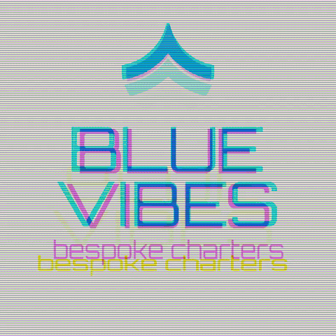 Blue Vibes Charters GIF