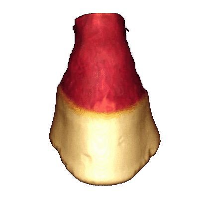 Veterinarian Sticker