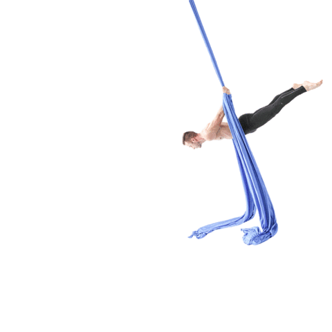 Aerial Physique Sticker