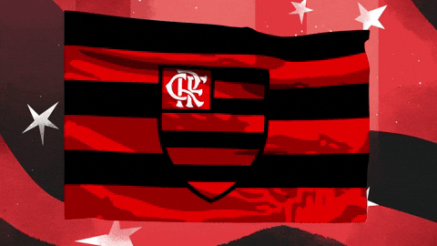 Flamengo meme gif
