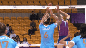 Power Smile GIF by Volleyball World
