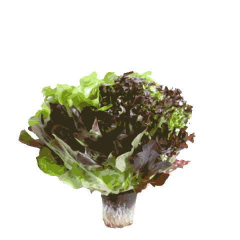 InspiredGreens Sticker