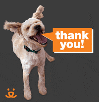 Dog Thank You Gif By Moodman Find Share On Giphy