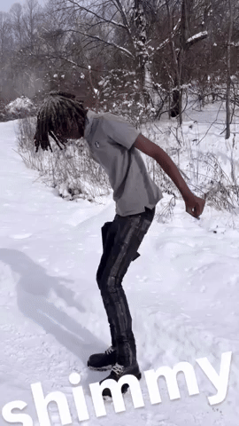 Shimmy GIF