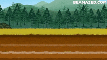 Rockwall GIF