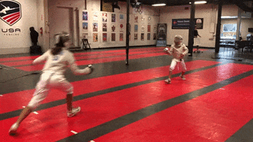 Fencing GIF