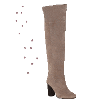 Fillies and boots store