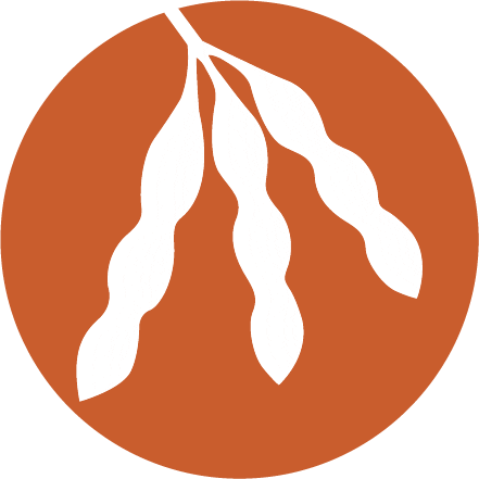 lidea.germany Sticker