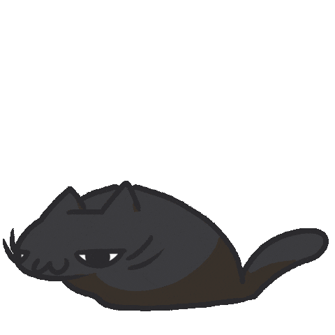Black Cat Sticker by bunny_is_moving