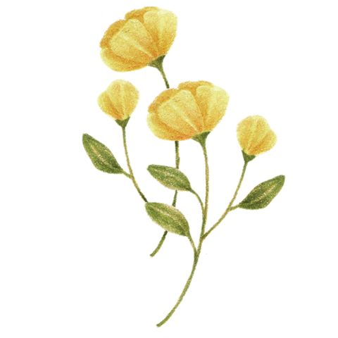 Flower Sticker