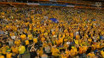 Asian Cup Fans GIF by Football Federation Australia