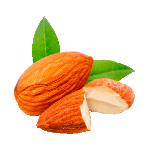 Sticker by Alpen Gold