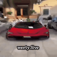 Wertylivee GIF