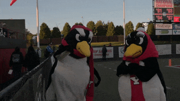 Ysu Y And Proud GIF by Youngstown State University