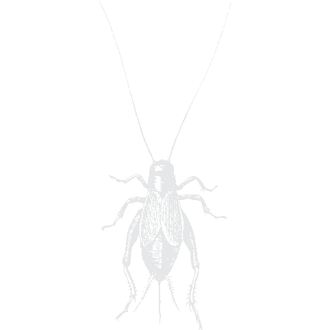 Onechance Sticker