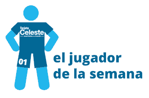 Copa America Sticker by Tarjeta Celeste