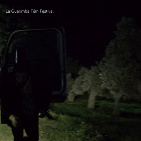 Night Out Running GIF by La Guarimba Film Festival