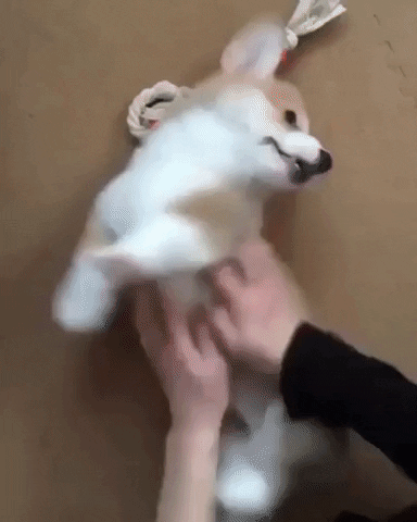 Mood Wow GIF by JustViral