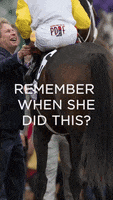 200.gif?cid=fc005b08283a48b165540bcca11467d9bbe0297a9bc281f4&rid=200.gif&ct=g