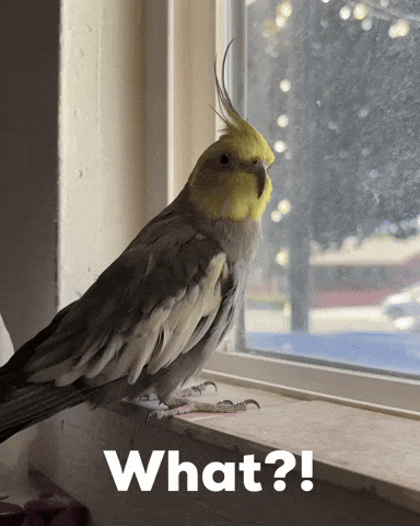 What GIF